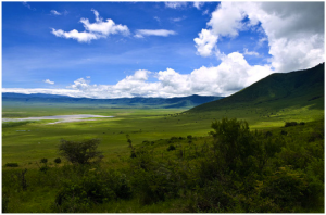 Ngorongoro