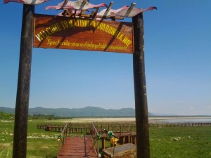 Lake Manyara 1
