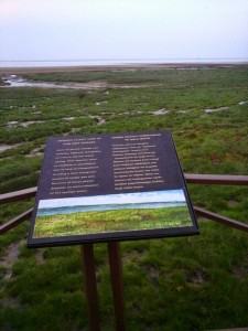 Lake Manyara 2