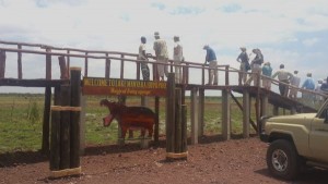 Lake Manyara 3