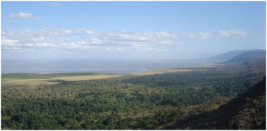 lake-manyara-national-park-4 lake-manyara-national-park-4